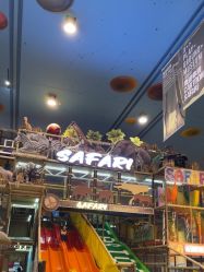 -卡通尼·Safari非洲探索乐园·生日会(金桥国际商业广场店)