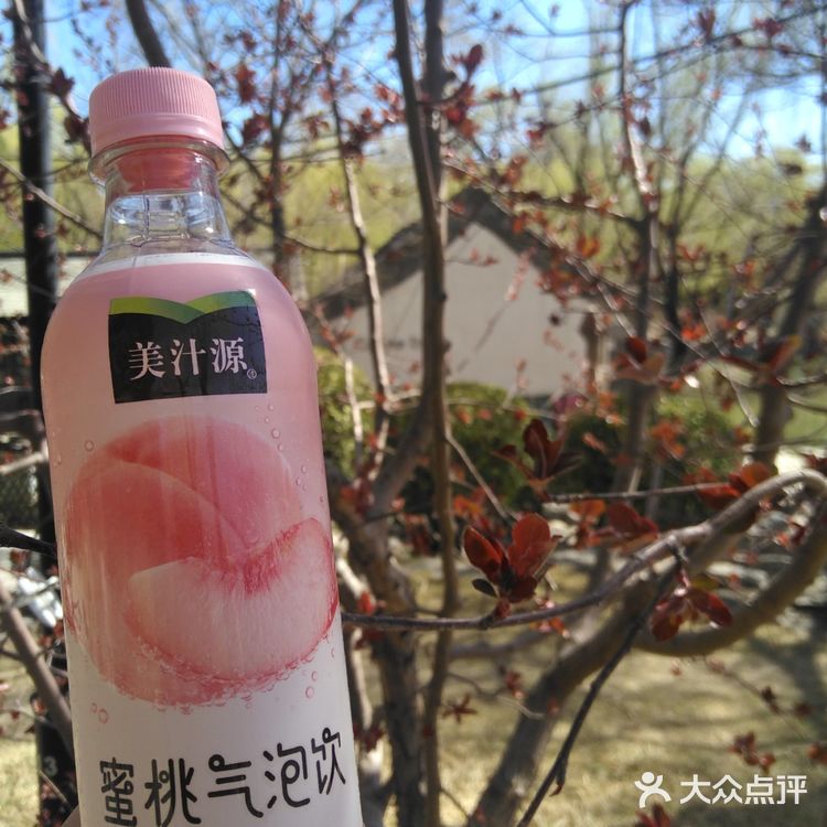 真离谱！好喝的蜜桃气泡饮，居然无人推荐