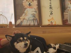 -柴の食堂·日式家庭料理·熊之肆(大学路店)