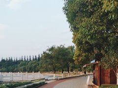 -洛龙公园