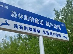 -莫尔道嘎国家森林公园