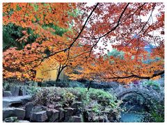 -北寺塔
