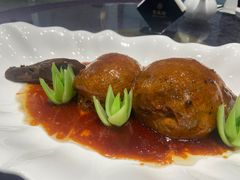 -丁老爷子苏香圆