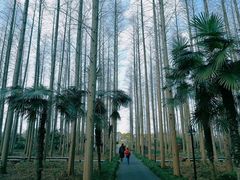 -上海怡沁园度假酒店