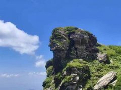 -秦岭风景区