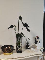 -美肤盾祛痘·问题肌头疗管理中心