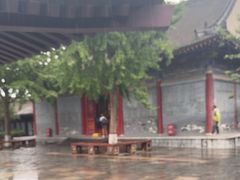 -法门文化景区
