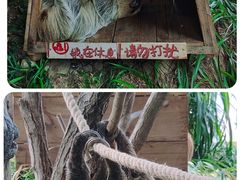 -乐和乐都主题乐园