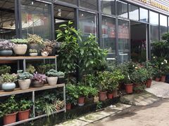-金科花卉市场