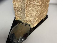 -小半有礼(天河南店)