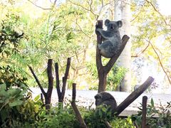 -可伦宾野生动物保护区