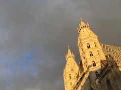 -斯蒂芬主教座堂(Stephansdom)