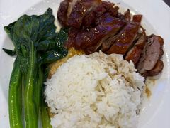 -美食小镇·观赏珍稀鸟类·长隆熊猫酒店