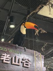 -Zoolung Zoolung动物主题公园(海信广场店)
