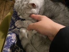-不舍昼夜咖啡馆