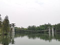 -东湖落雁景区
