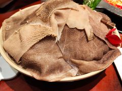 绿色毛肚-袁老四重庆老火锅(桐梓坡店)