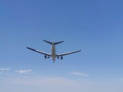 -空港花田景区
