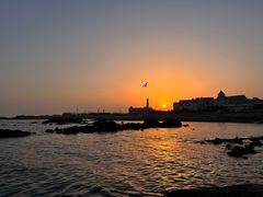-海合安青岛极地海洋公园