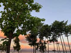 -深圳湾公园(南山区)