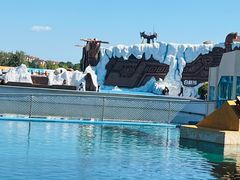 -秦皇岛乐岛海洋王国