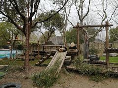 -上海野生动物园
