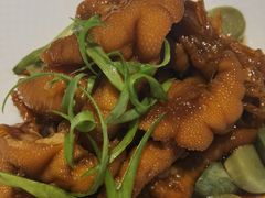 -旺顺阁·北京菜(北辰上品+)