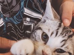 -共舞时光猫咖·狗咖(新街口店)