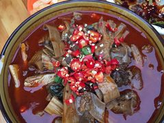 -曾牛肉