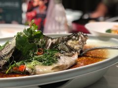 清蒸阳澄湖鲑鱼-宴昆山·私房菜(春晖店)
