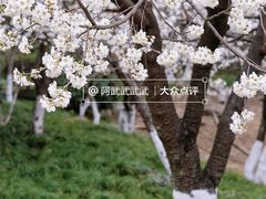 -国际非物质文化遗产博览园