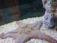 -水上乐园·欢乐世界