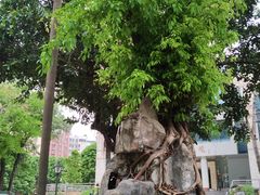 -广州市白云区图书馆
