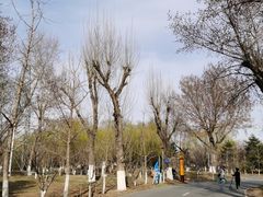 -长白岛森林公园