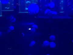 -南昌海洋公园