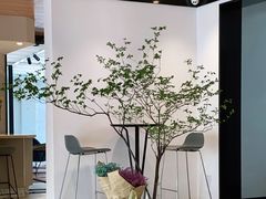 -Willing·Coffee&Brunch&Dinner(万达店)