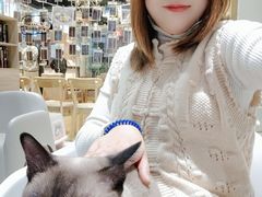 -藏猫猫咖啡主题馆(中央大道店)
