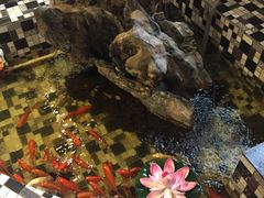 -孙家面馆(小康城店)