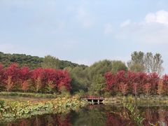 -沈阳森林动物园