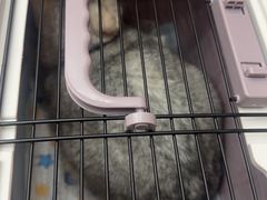 -联合动物医院(光谷诊疗中心)