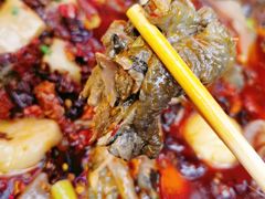 -黑竹香鸡(营和巷店)