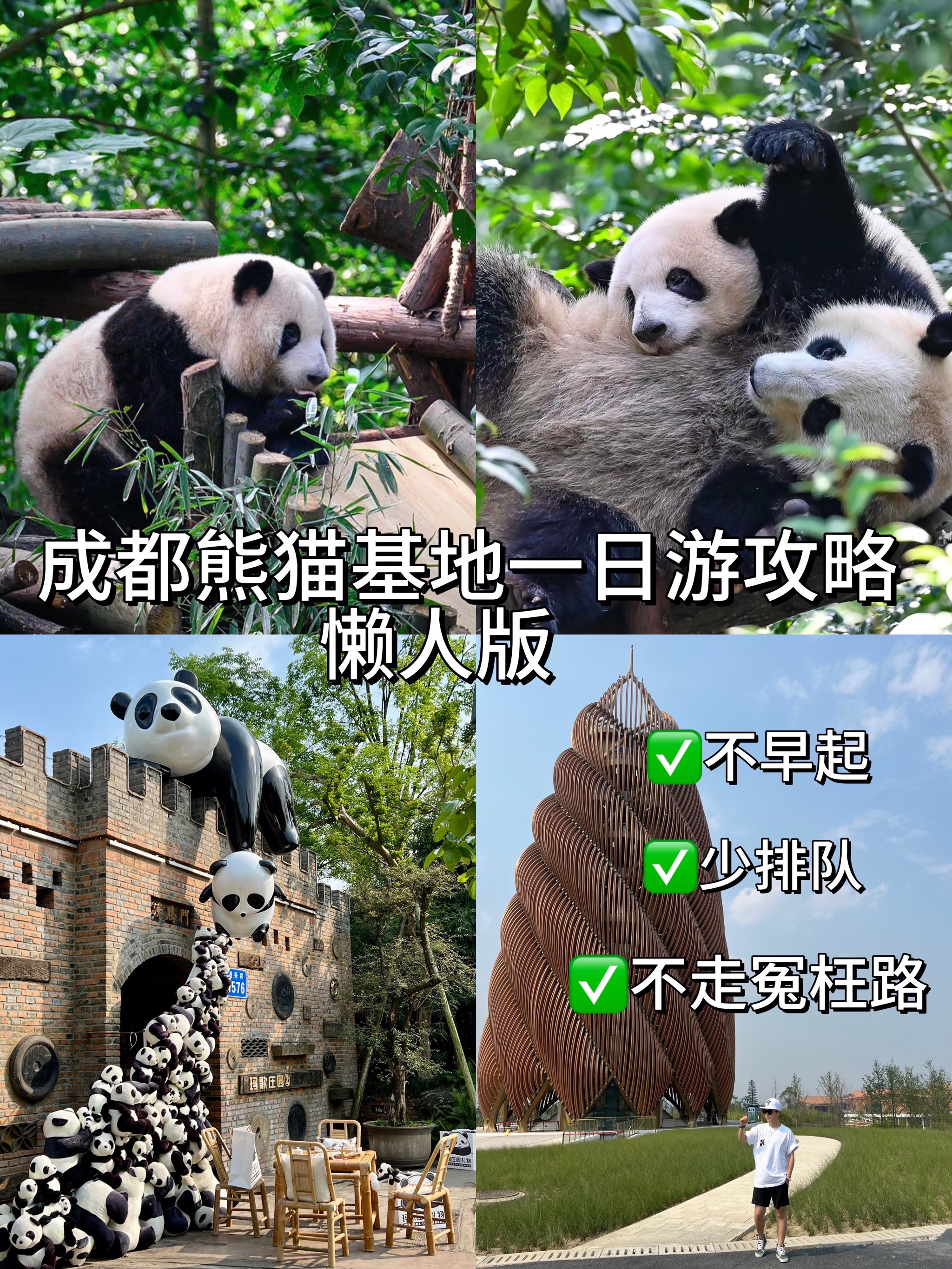 成都熊猫基地旅游图片