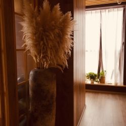 点击看大图 -花隐瑜伽·普拉提·红绳