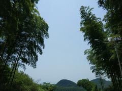 -蔡伦竹海