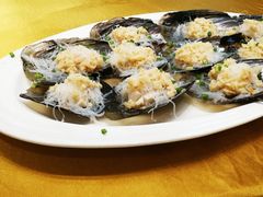 蒜茸粉丝油带子-新海利海鲜城·41年珠海老字号(夏湾店)