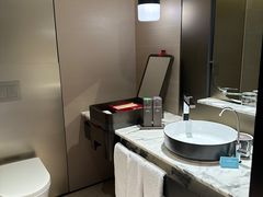 -新加坡瑞士史丹福酒店