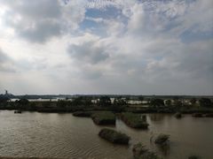 -盐城丹顶鹤湿地生态旅游区