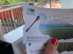 -东寨港红树林旅游区