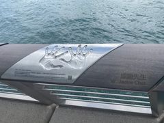 -星光大道
