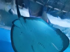 -常州海昌海洋探索馆